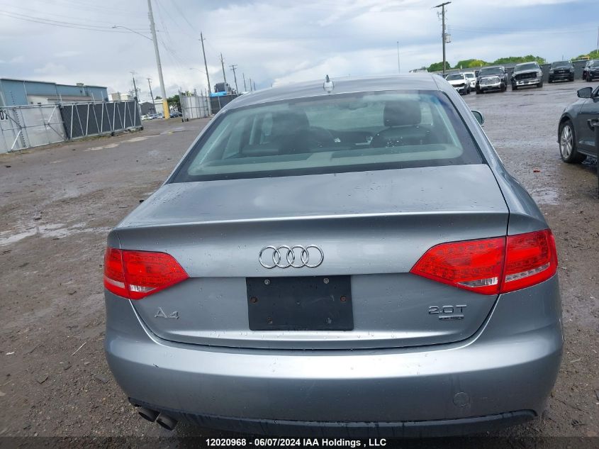 2010 Audi A4 VIN: WAUFFCFL8AN064106 Lot: 12020968