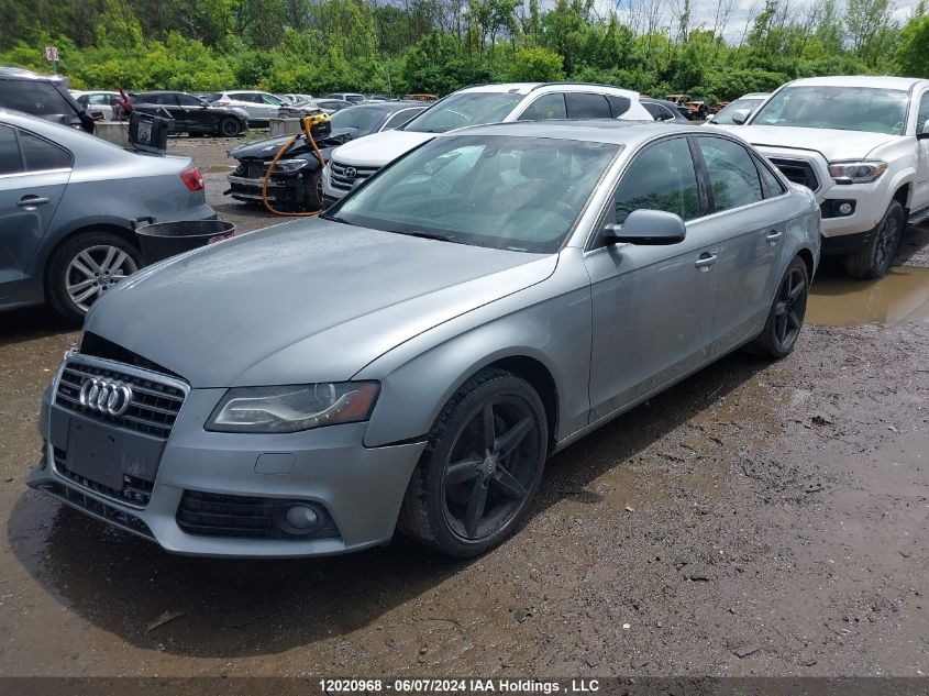 2010 Audi A4 VIN: WAUFFCFL8AN064106 Lot: 12020968