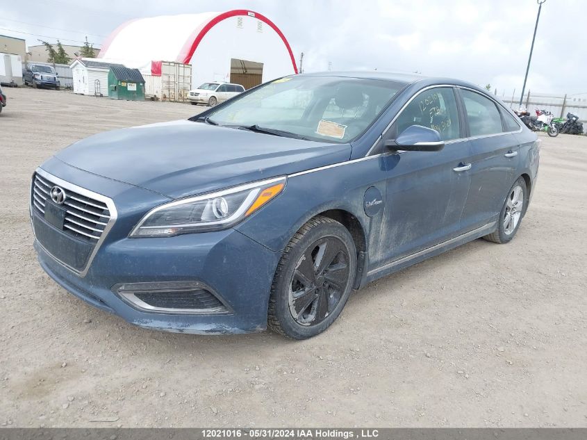 2016 Hyundai Sonata Plug-In Hybrid/Limited VIN: KMHE54L2XGA035754 Lot: 12021016