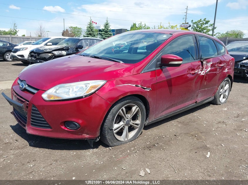 2014 Ford Focus Se VIN: 1FADP3K26EL314938 Lot: 12021091