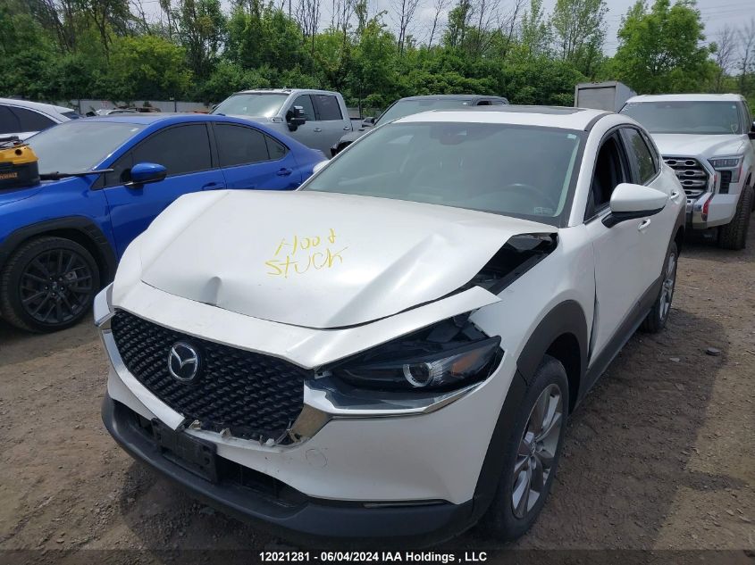 2022 Mazda Cx-30 VIN: 3MVDMBCL7NM420476 Lot: 12021281