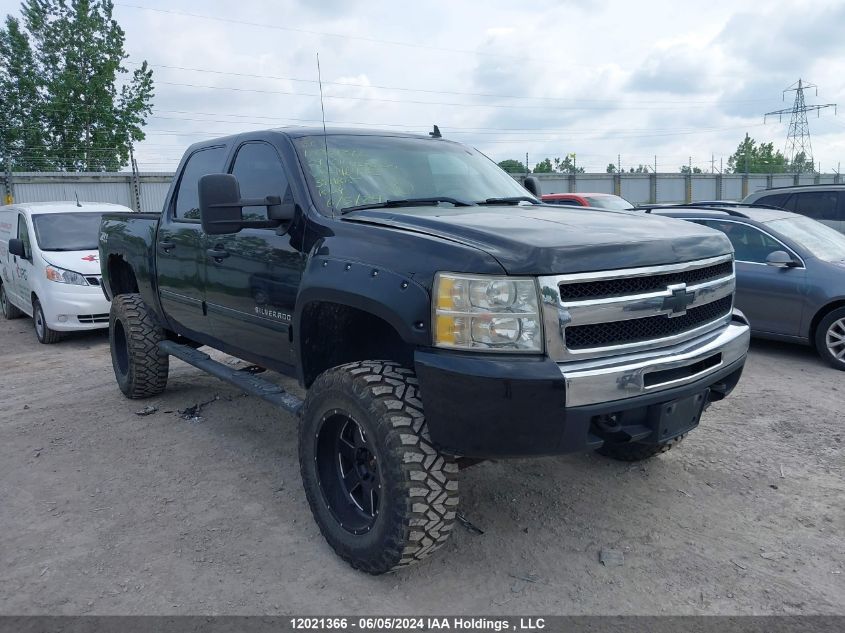 2009 Chevrolet Silverado 1500 VIN: 3GCEK13379G146433 Lot: 12021366