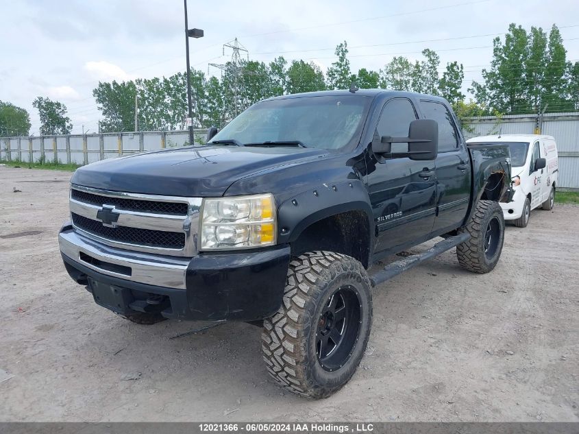 2009 Chevrolet Silverado 1500 VIN: 3GCEK13379G146433 Lot: 12021366