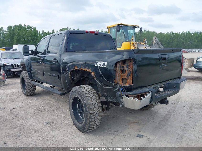 2009 Chevrolet Silverado 1500 VIN: 3GCEK13379G146433 Lot: 12021366