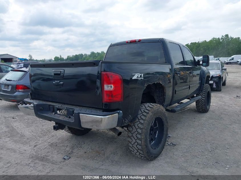 2009 Chevrolet Silverado 1500 VIN: 3GCEK13379G146433 Lot: 12021366