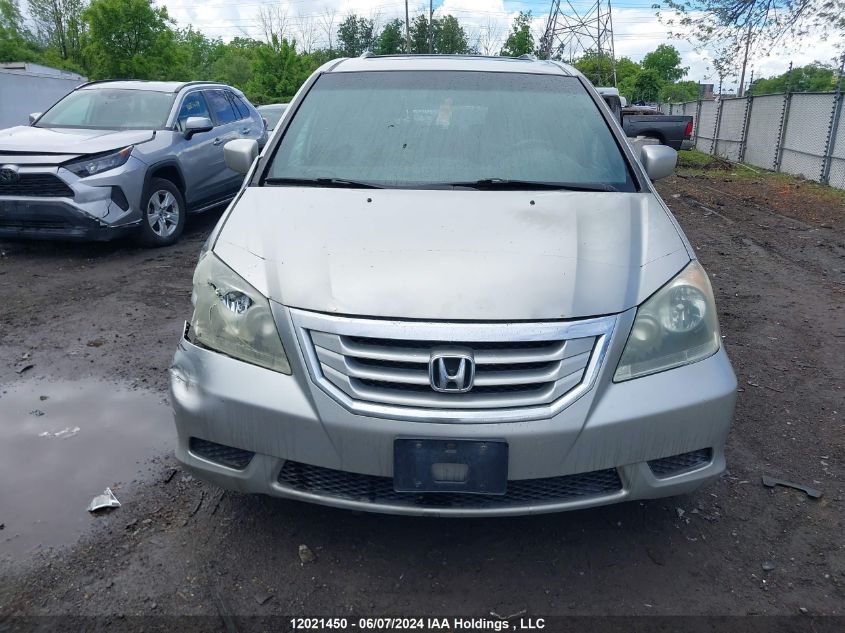 2008 Honda Odyssey VIN: 5FNRL38798B502455 Lot: 12021450