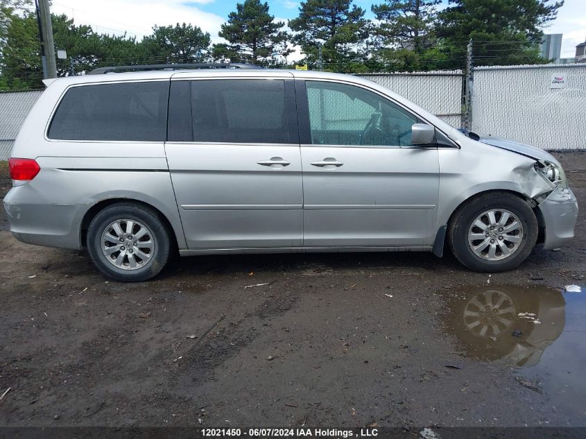 2008 Honda Odyssey VIN: 5FNRL38798B502455 Lot: 12021450