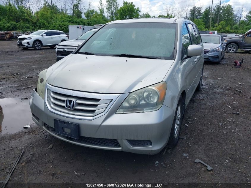 2008 Honda Odyssey VIN: 5FNRL38798B502455 Lot: 12021450