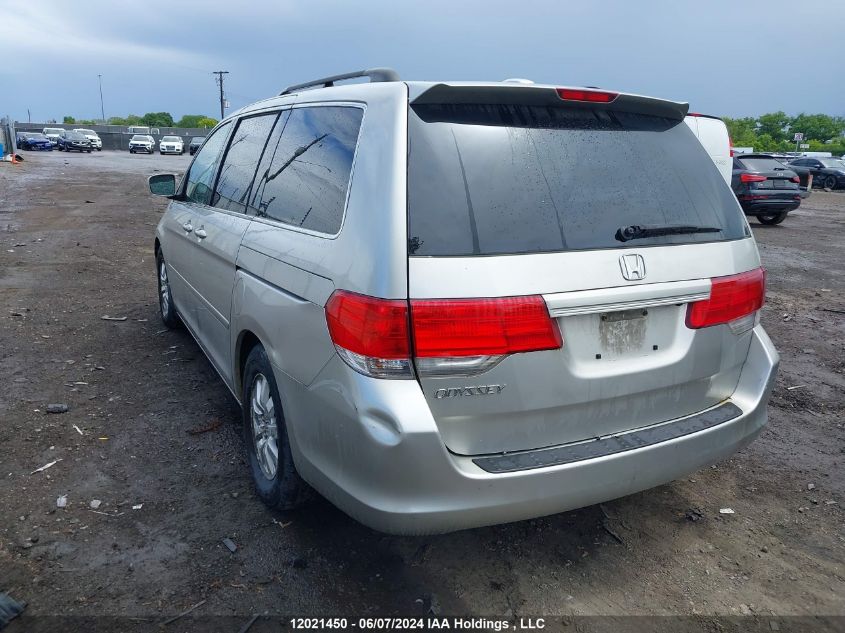 2008 Honda Odyssey VIN: 5FNRL38798B502455 Lot: 12021450