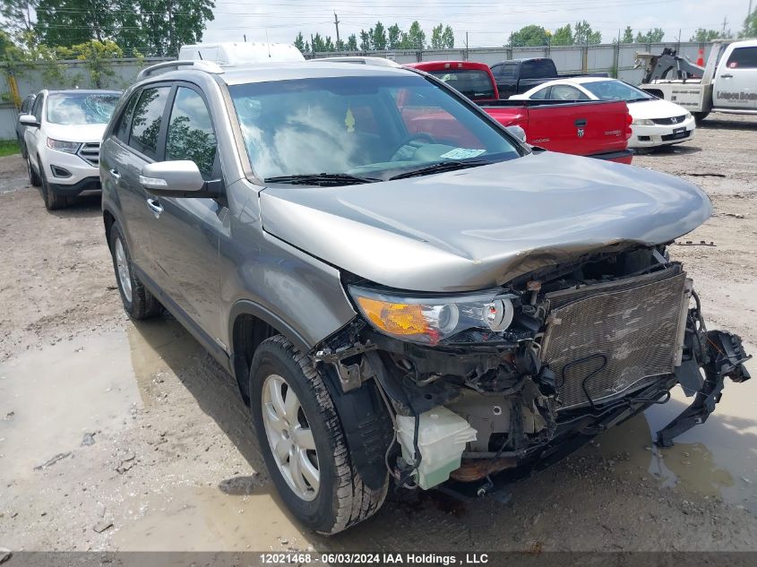 2013 Kia Sorento VIN: 5XYKTCA63DG319185 Lot: 12021468