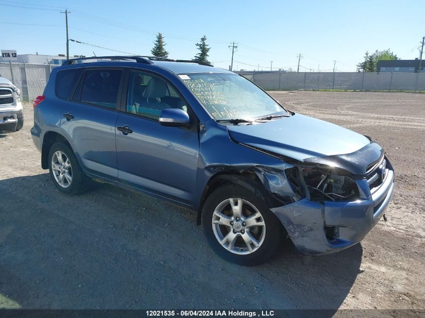 2009 Toyota Rav4 VIN: 2T3BF33V09W019950 Lot: 12021535