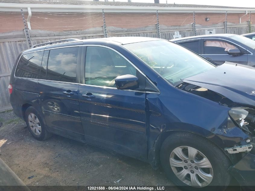 2006 Honda Odyssey VIN: 5FNRL38646B505767 Lot: 12021588