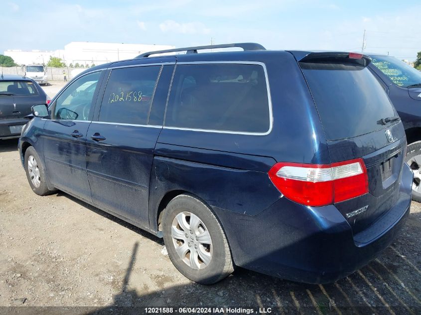 2006 Honda Odyssey VIN: 5FNRL38646B505767 Lot: 12021588