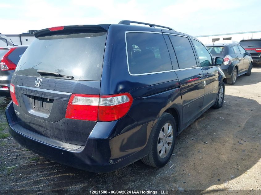 2006 Honda Odyssey VIN: 5FNRL38646B505767 Lot: 12021588