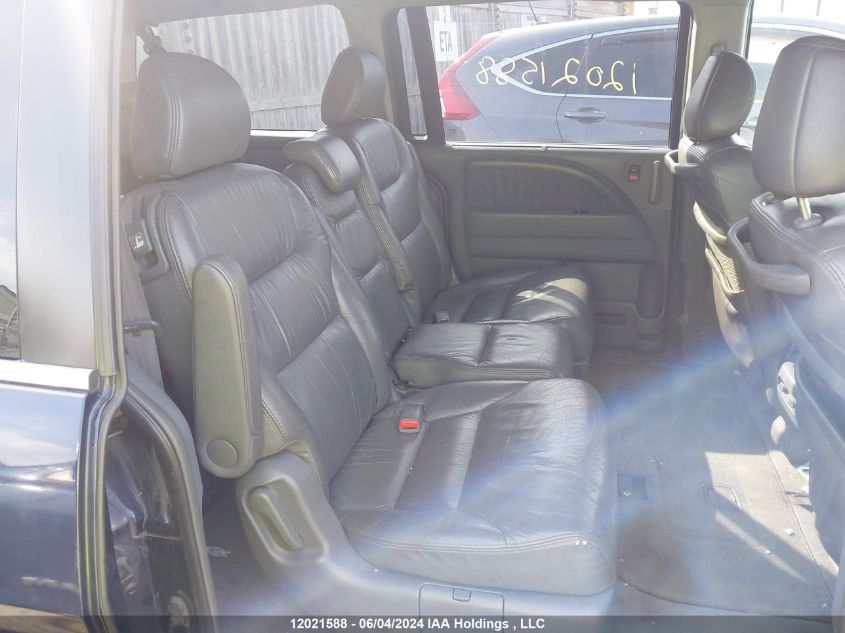 2006 Honda Odyssey VIN: 5FNRL38646B505767 Lot: 12021588