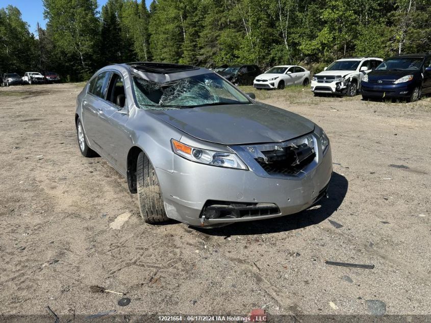 2011 Acura Tl VIN: 19UUA8F27BA800007 Lot: 12021664