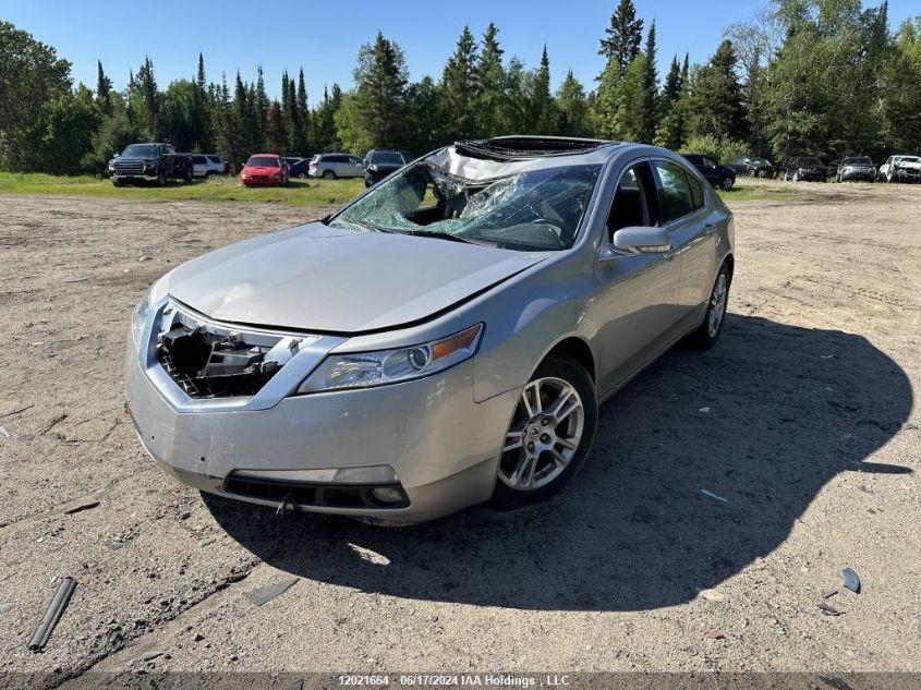 2011 Acura Tl VIN: 19UUA8F27BA800007 Lot: 12021664