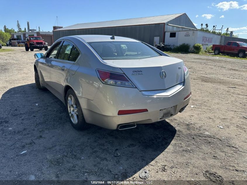 2011 Acura Tl VIN: 19UUA8F27BA800007 Lot: 12021664