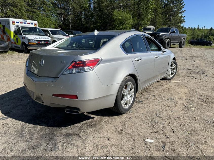 2011 Acura Tl VIN: 19UUA8F27BA800007 Lot: 12021664