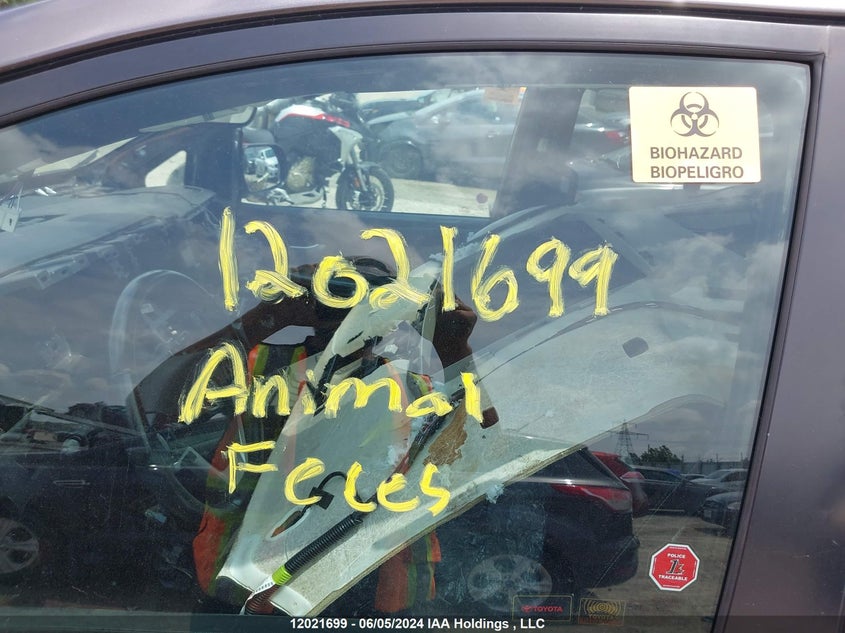 2019 Toyota Sienna Se/Se Premium VIN: 5TDXZ3DC3KS973304 Lot: 12021699