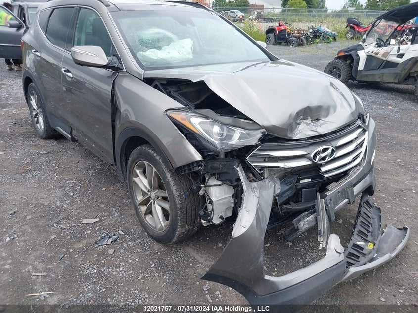 2017 Hyundai Santa Fe VIN: 5XYZUDLA4HG493081 Lot: 12021757