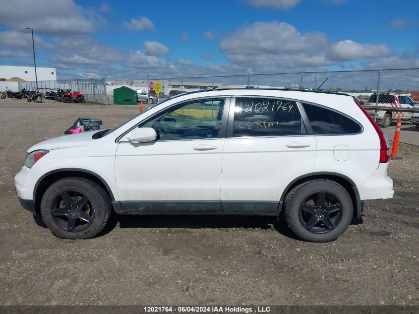 2010 Honda Cr-V VIN: 5J6RE4H75AL800191 Lot: 12021764
