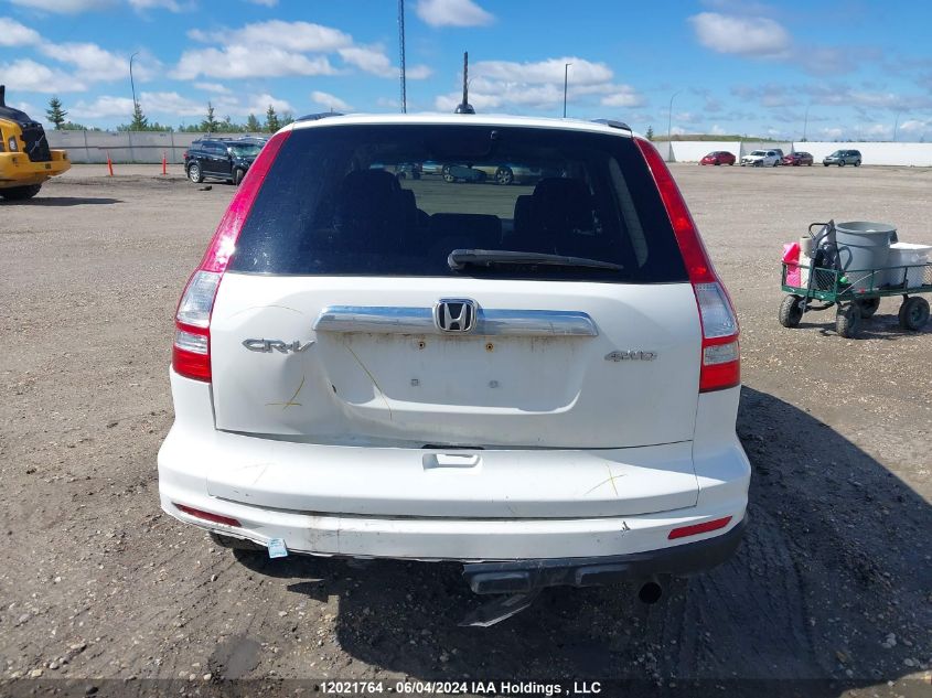 2010 Honda Cr-V VIN: 5J6RE4H75AL800191 Lot: 12021764