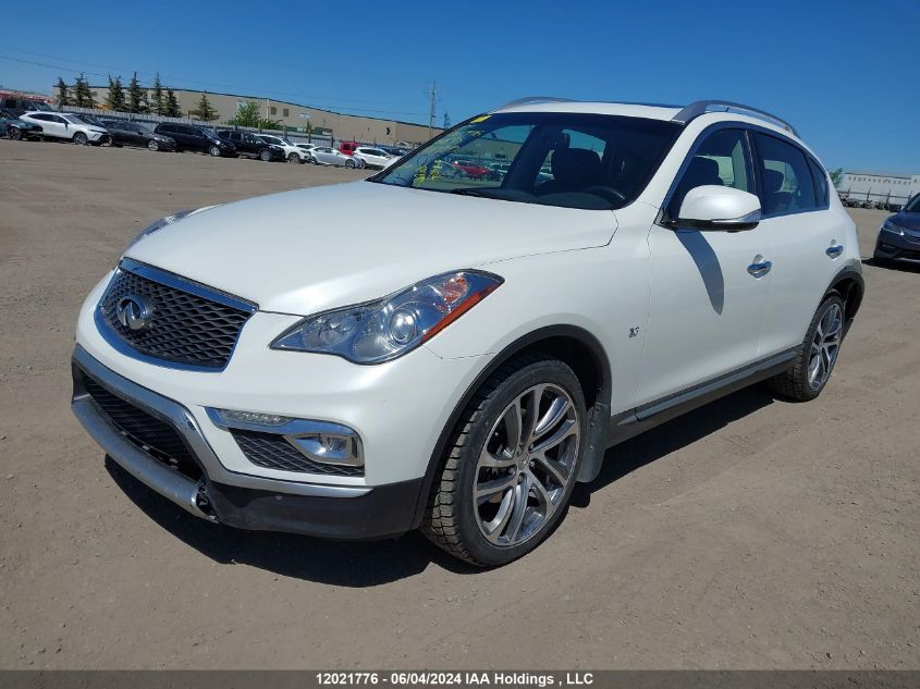 2016 Infiniti Qx50 VIN: JN1BJ0RR5GM267390 Lot: 12021776