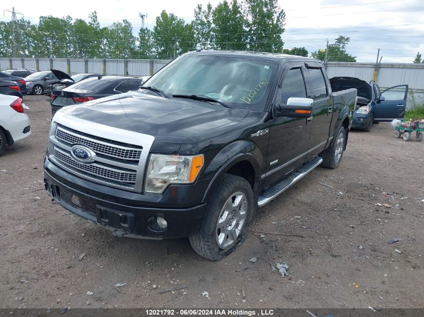 2012 Ford F-150 Platinum VIN: 1FTFW1ET0CFB29939 Lot: 12021792