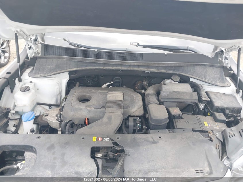 2019 Kia Sorento VIN: 5XYPGDA36KG530304 Lot: 12021802