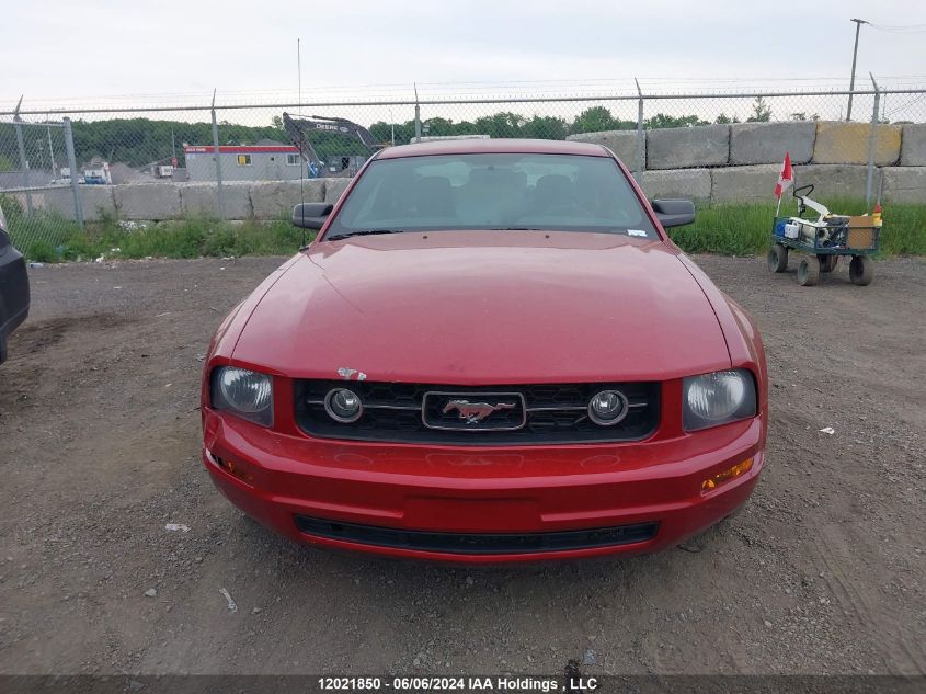 2008 Ford Mustang VIN: 1ZVHT80N285144214 Lot: 12021850