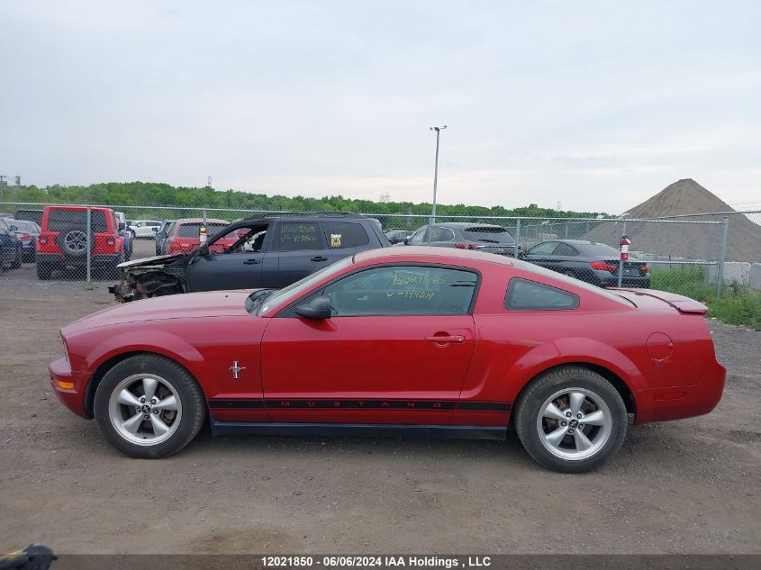 2008 Ford Mustang VIN: 1ZVHT80N285144214 Lot: 12021850