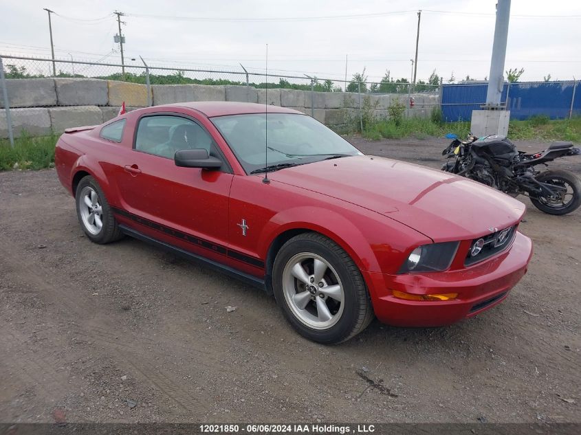 2008 Ford Mustang VIN: 1ZVHT80N285144214 Lot: 12021850