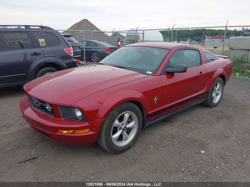 2008 Ford Mustang VIN: 1ZVHT80N285144214 Lot: 12021850