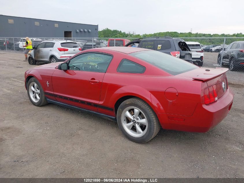 2008 Ford Mustang VIN: 1ZVHT80N285144214 Lot: 12021850