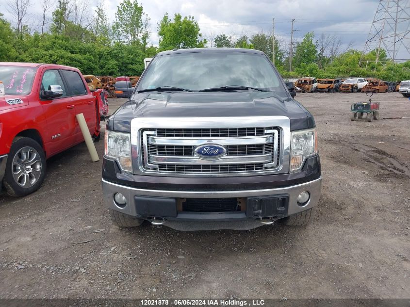 2013 Ford F-150 Xlt VIN: 1FTFW1ET7DFA24719 Lot: 12021878