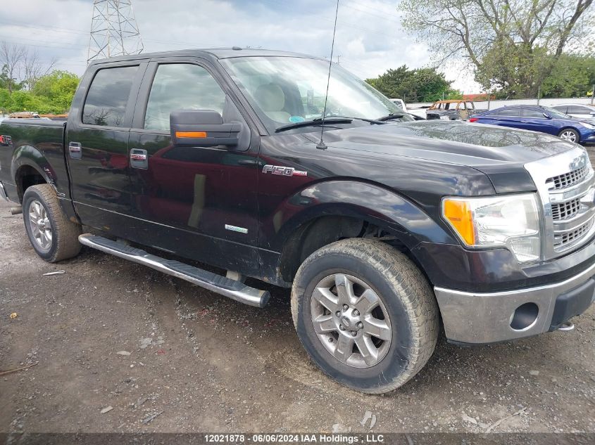 2013 Ford F-150 Xlt VIN: 1FTFW1ET7DFA24719 Lot: 12021878