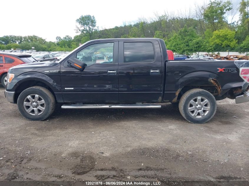 2013 Ford F-150 Xlt VIN: 1FTFW1ET7DFA24719 Lot: 12021878