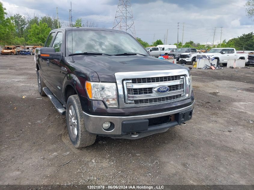 2013 Ford F-150 Xlt VIN: 1FTFW1ET7DFA24719 Lot: 12021878