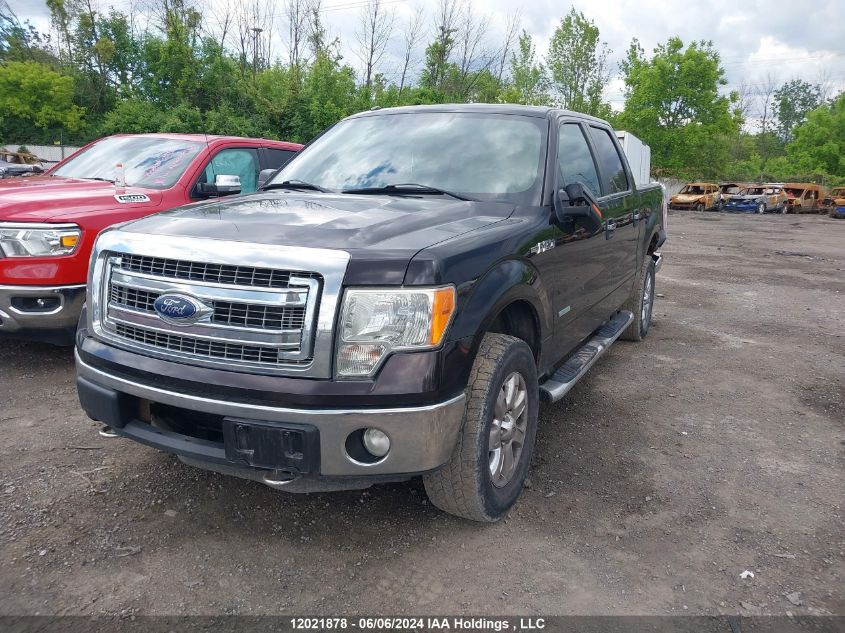 2013 Ford F-150 Xlt VIN: 1FTFW1ET7DFA24719 Lot: 12021878