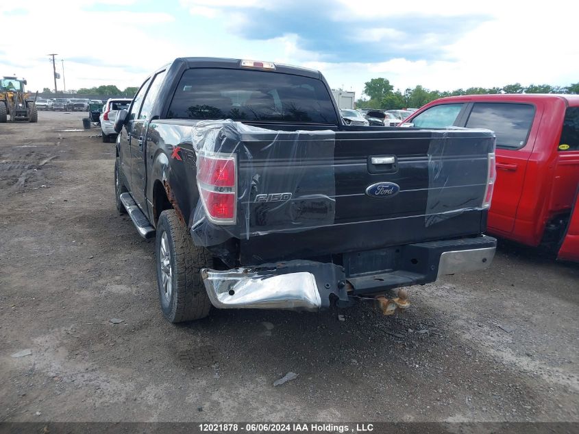 2013 Ford F-150 Xlt VIN: 1FTFW1ET7DFA24719 Lot: 12021878