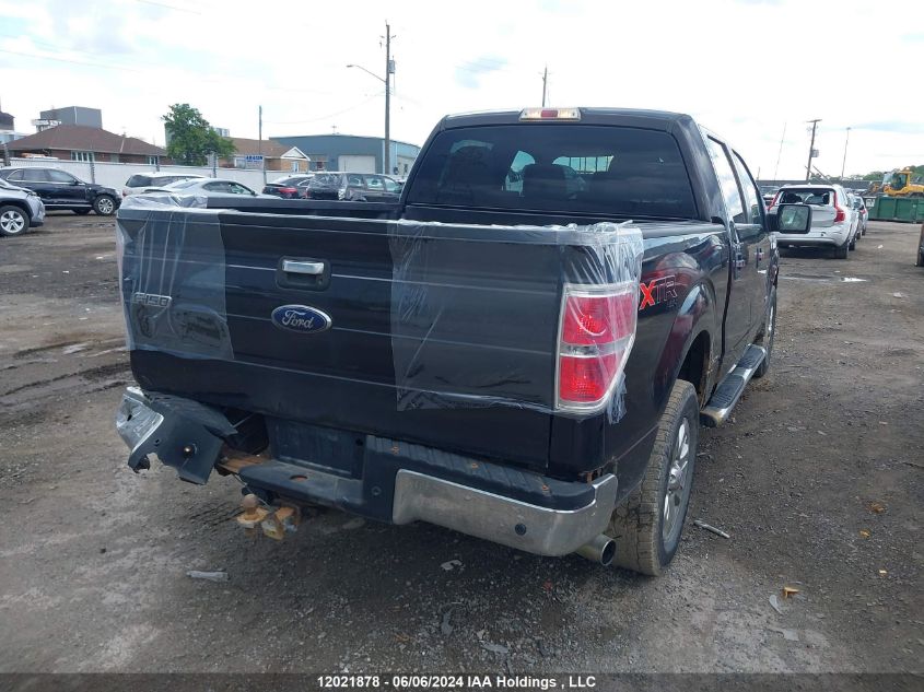 2013 Ford F-150 Xlt VIN: 1FTFW1ET7DFA24719 Lot: 12021878