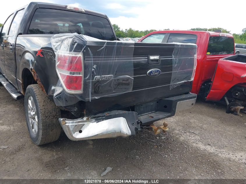 2013 Ford F-150 Xlt VIN: 1FTFW1ET7DFA24719 Lot: 12021878