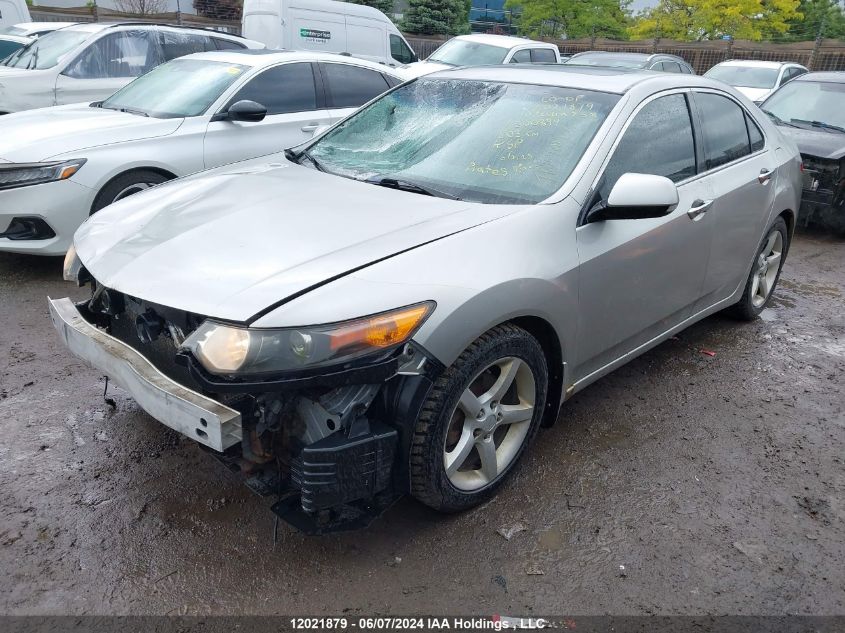 2010 Acura Tsx VIN: JH4CU2F61AC800894 Lot: 12021879