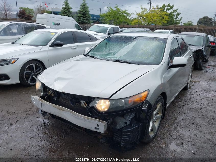 2010 Acura Tsx VIN: JH4CU2F61AC800894 Lot: 12021879