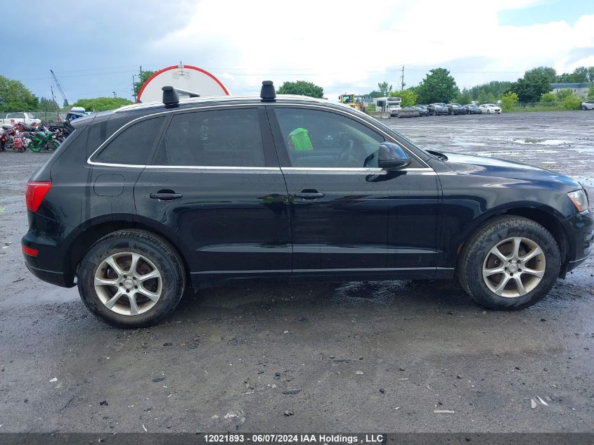 2011 Audi Q5 VIN: WA1LFCFP4BA003668 Lot: 12021893