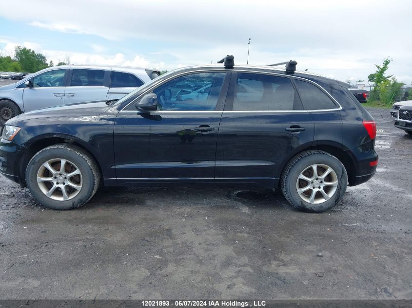 2011 Audi Q5 VIN: WA1LFCFP4BA003668 Lot: 12021893