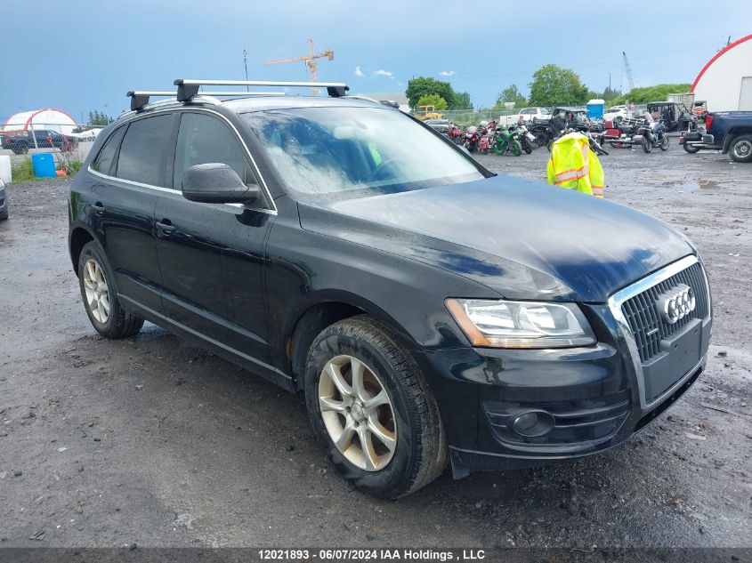 2011 Audi Q5 VIN: WA1LFCFP4BA003668 Lot: 12021893