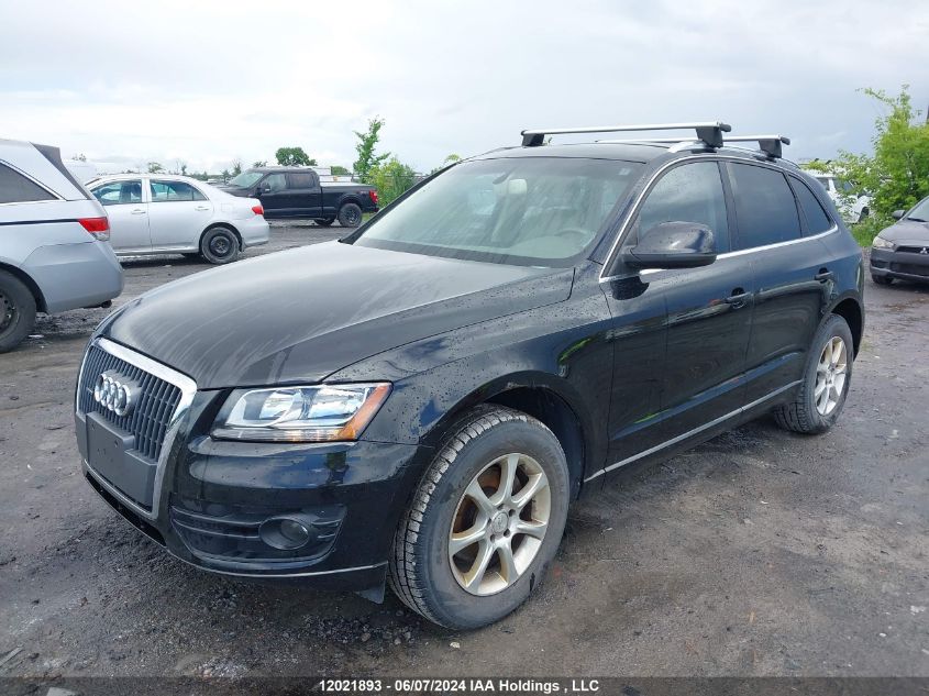 2011 Audi Q5 VIN: WA1LFCFP4BA003668 Lot: 12021893