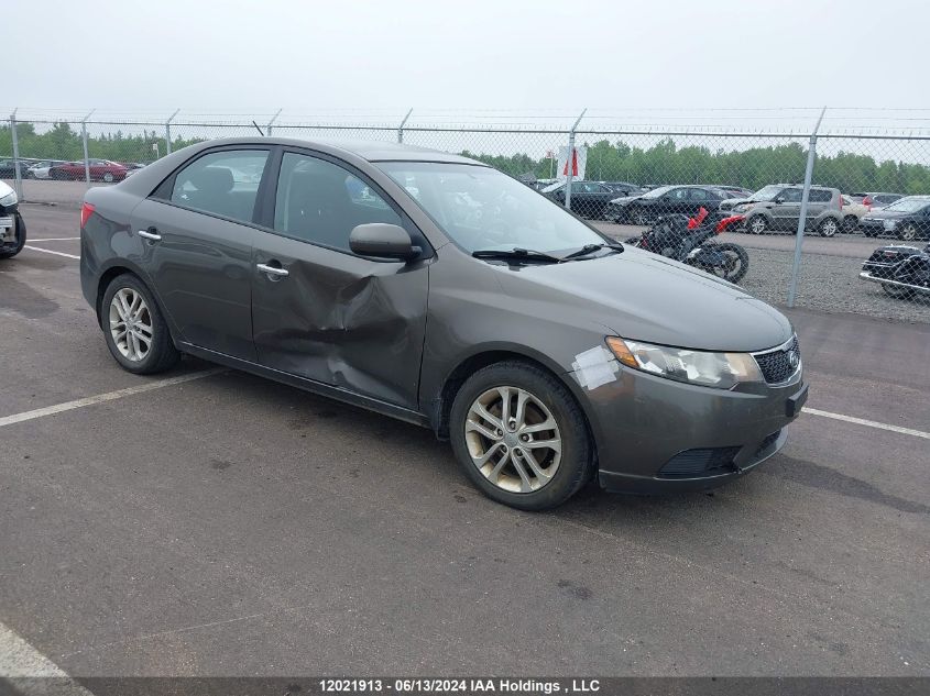 2012 Kia Forte VIN: KNAFU4A2XC5526582 Lot: 12021913